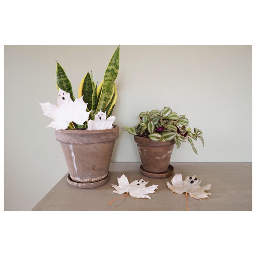 Spøkelsesblader spøkelse maling dit Halloween småbarn kids barnehage svamp pensel motorikk aktivitet forming lek natur naturen farger 