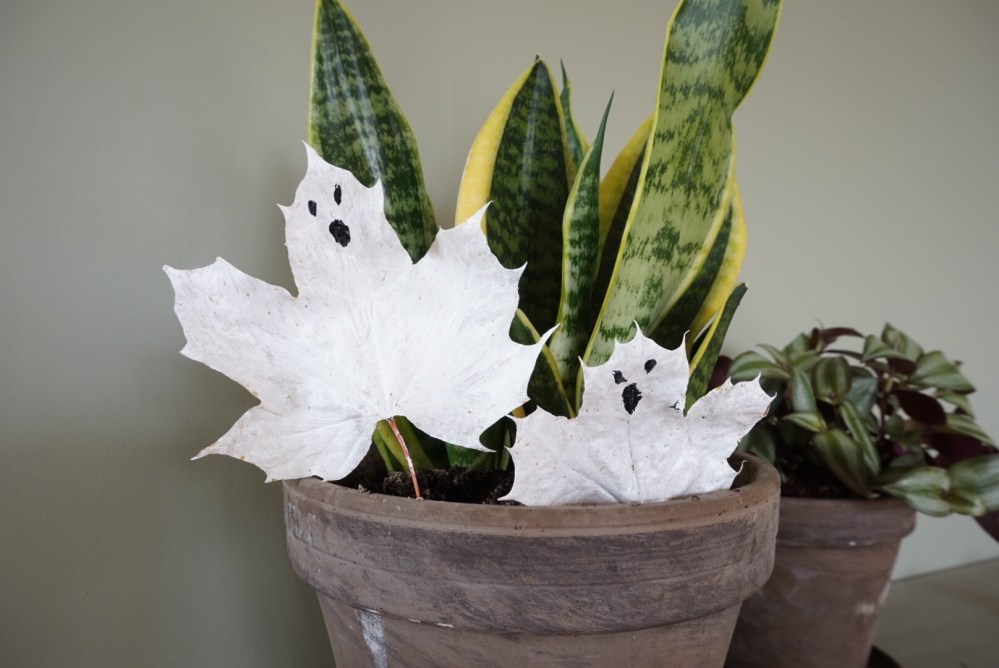 Spøkelsesblader spøkelse maling dit Halloween småbarn kids barnehage svamp pensel motorikk aktivitet forming lek natur naturen svigermorstunge 