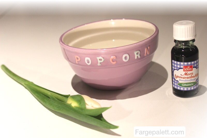 Forske, eksperiment, barn, blekk, konditorfarge, blomster, eksperimentere, farging, vannårer, konditorfarge, maling, nellik, tulipaner, tulipan, vann, vannbasert, vannets kretsløp 