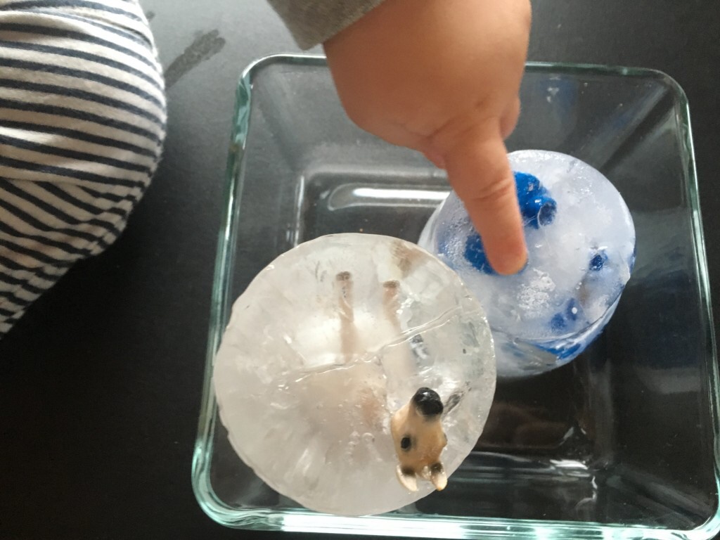 fremgangsmåte, barnehage, Aktivitet, barneaktivitet, barn, vann, småbarn, fantasifull, aktiviteter, mammalivet, forske, eksperiment, fryse, vann, is, 